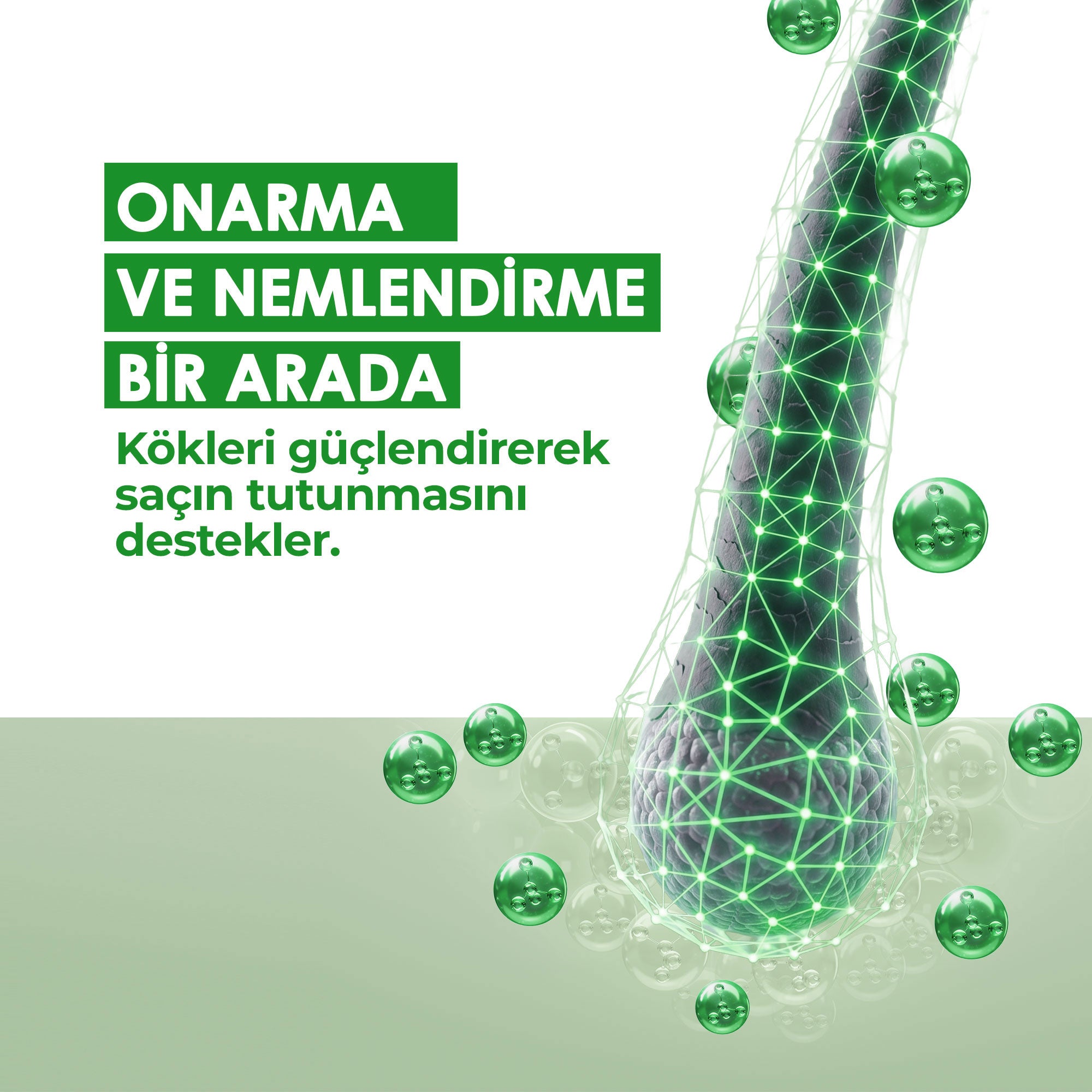Argan Yağlı Şampuan