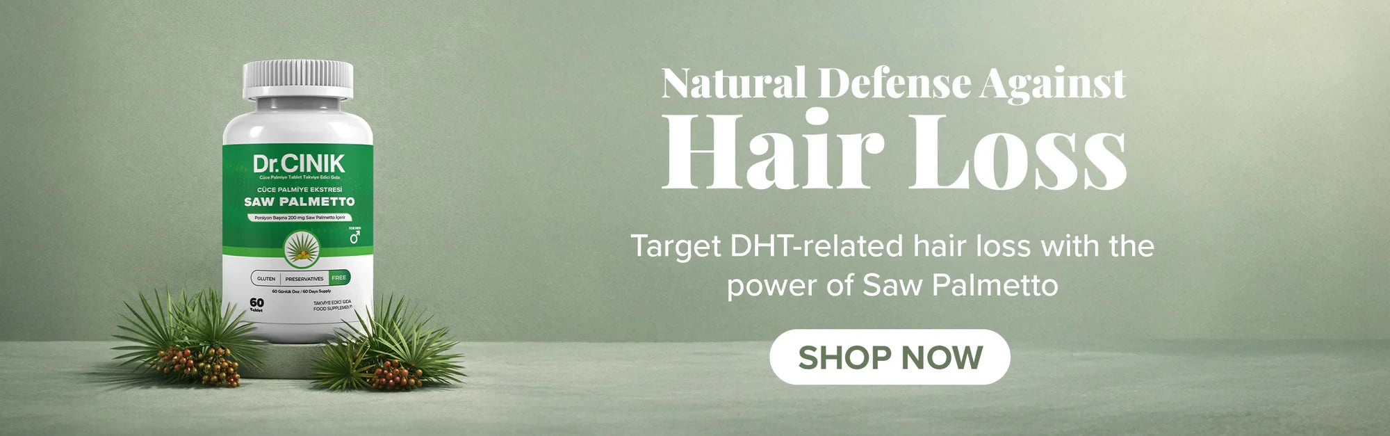 Uploaded: saw_-palmett0-banner.webp